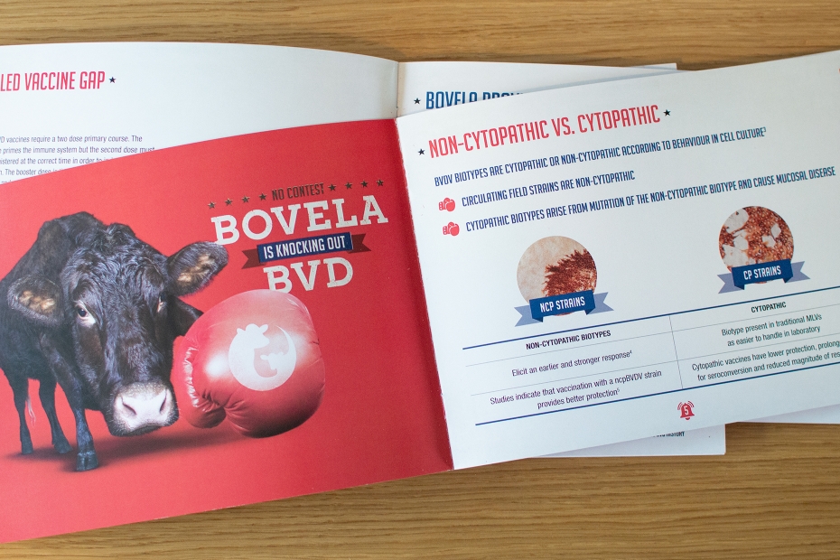 Boehringer Ingelheim - Bovela brochure